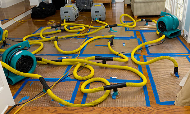 Professional Sewage Cleanup technician working in Quinton, AL