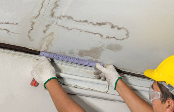 Affordable Water Damage Repair solutions in Quinton, AL
